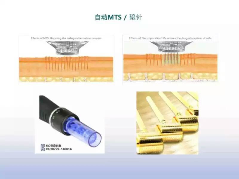 供應(yīng)植物干細(xì)胞