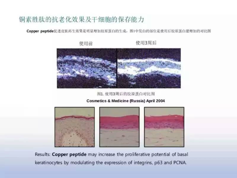 供應(yīng)植物干細(xì)胞