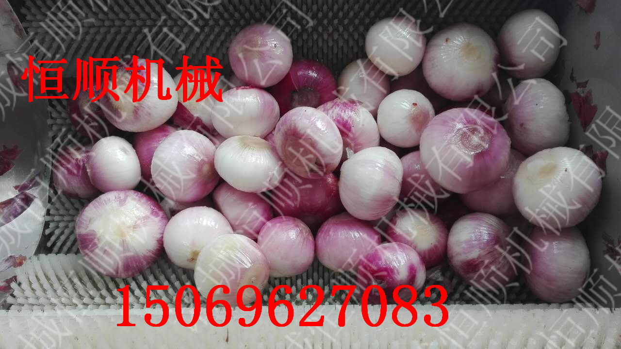 供應(yīng)果蔬去皮清洗機(jī) 不銹鋼毛刷清洗機(jī) 洋蔥去皮機(jī)