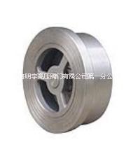 消聲止回閥水泵*