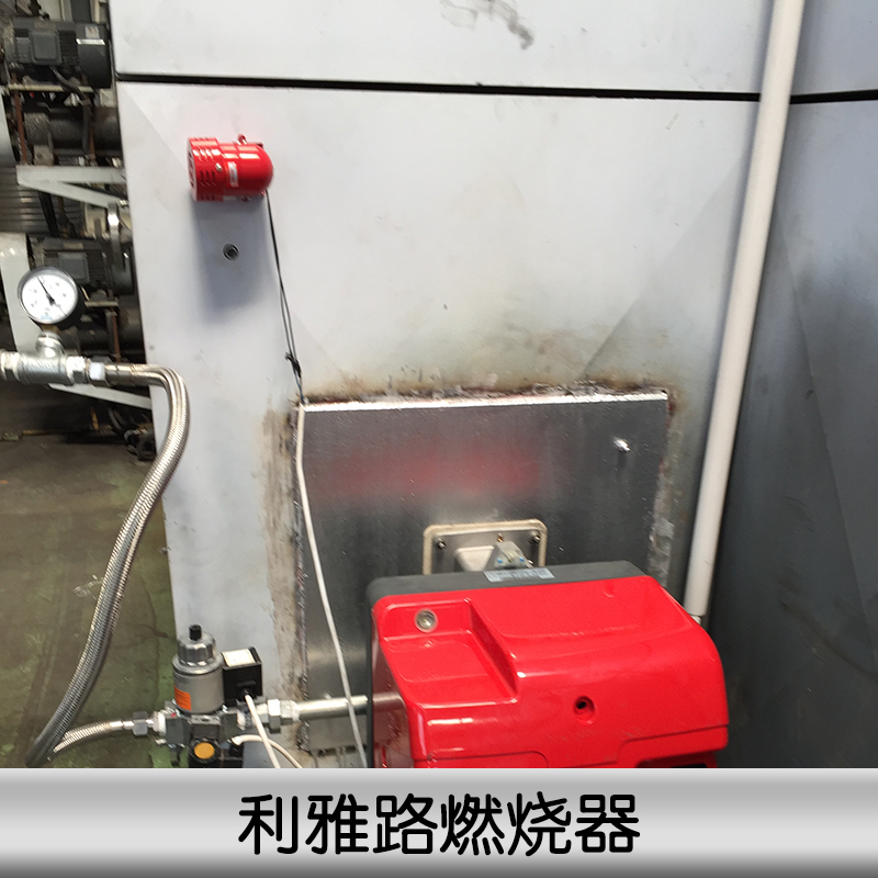利雅路燃燒器廠家直銷、安徽燃燒器供應(yīng)商、利雅路燃燒器價(jià)格、進(jìn)口燃燒器