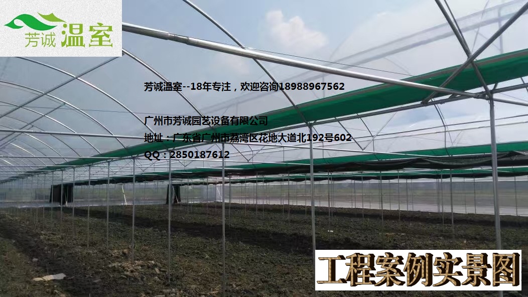 廣東大棚、建設(shè)簡(jiǎn)易大棚、大棚價(jià)格