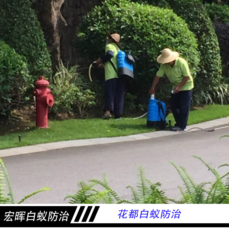 廣州宏暉白蟻防治花都白蟻防治 害蟲白蟻誘殺滅治 白蟻防治工程