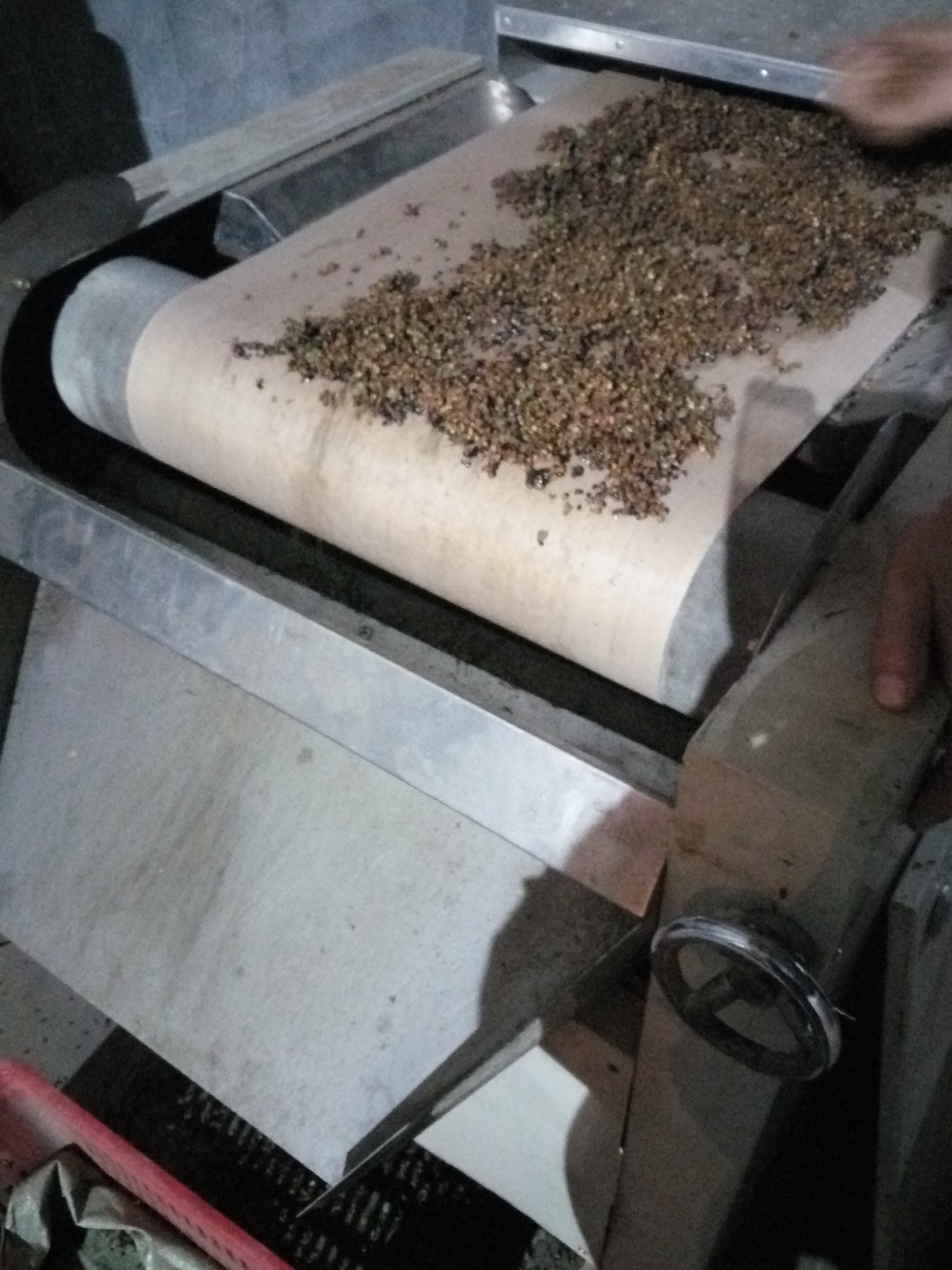 江蘇花椒微波干燥設(shè)備、江蘇花椒微波干燥設(shè)備廠家直銷、江蘇微波干燥設(shè)備