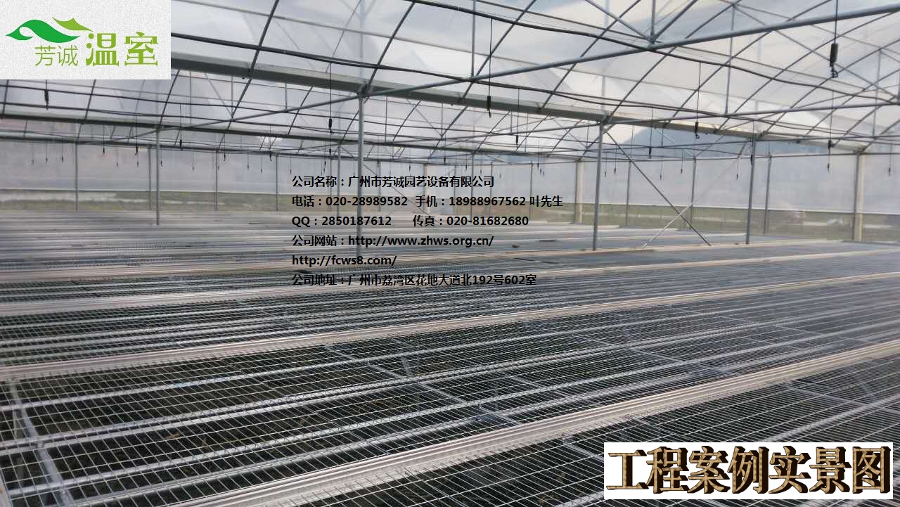 供應(yīng)福建養(yǎng)殖大棚 簡易大棚/溫室大棚/蔬菜大棚/育苗大棚