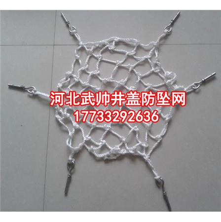 排水井防墜網(wǎng) 排水井防護(hù)網(wǎng)排水井安全網(wǎng) 排水井防墜網(wǎng)廠家 排水井防墜網(wǎng)價(jià)格