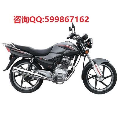 供應新大洲125T-23飛夢歐三踏板摩托車