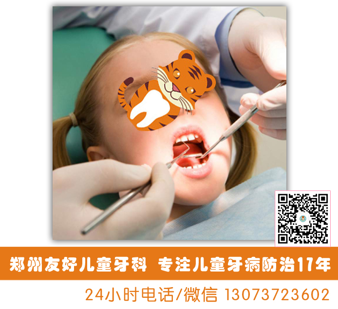 孩子換牙期乳牙和恒牙你能區(qū)分開嗎