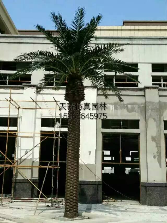 濰坊仿真榕樹制作精美 價格實惠