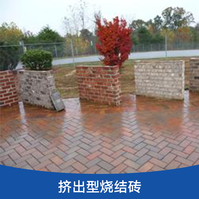 擠出型燒結(jié)磚 粘土燒結(jié)砌墻磚 方形擠出燒結(jié)磚 飾面彩磚 廣場燒結(jié)磚