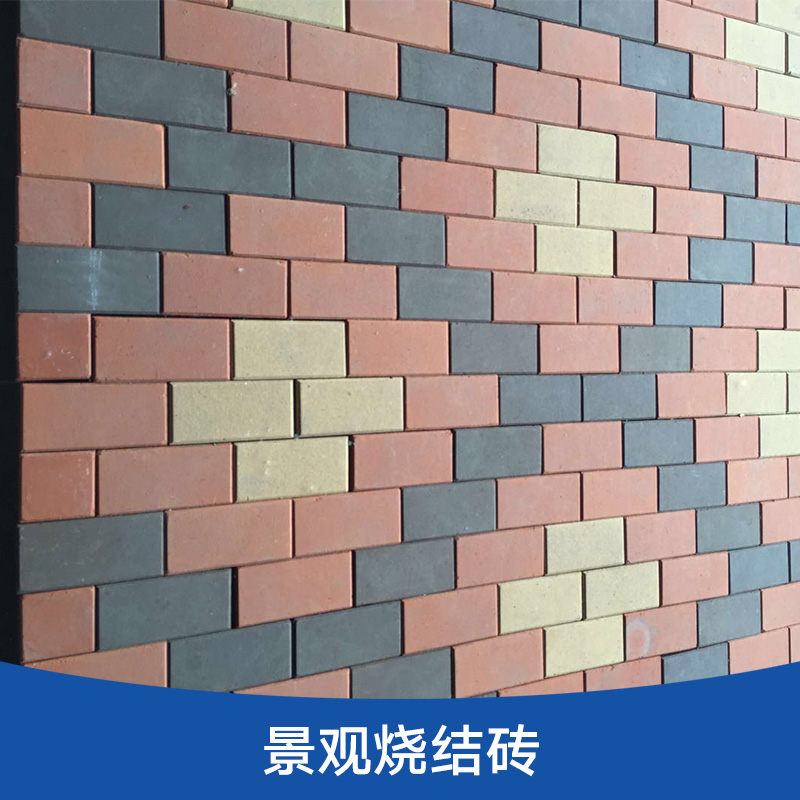 景觀燒結(jié)磚 彩色燒結(jié)磚 園林景觀磚 飾面鋪裝燒結(jié)磚 廣場(chǎng)燒結(jié)磚
