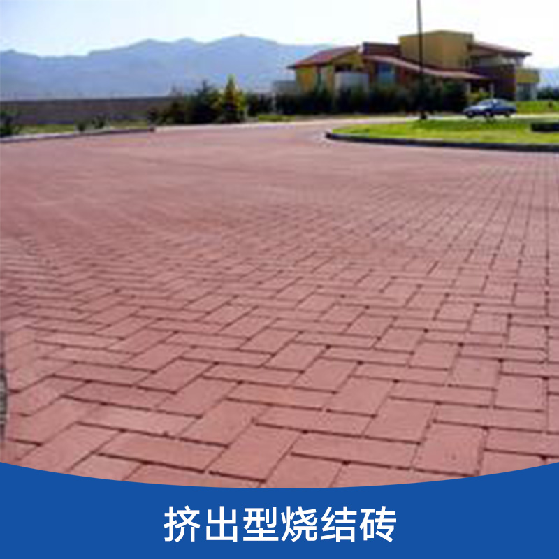 擠出型燒結(jié)磚 粘土燒結(jié)砌墻磚 方形擠出燒結(jié)磚 飾面彩磚 廣場燒結(jié)磚
