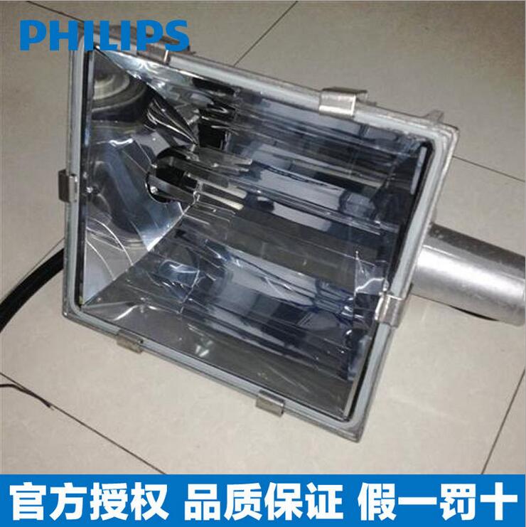 飛利浦泛光燈 室外經(jīng)濟(jì)型泛投光燈 HNF901 1000W 大功率投光燈