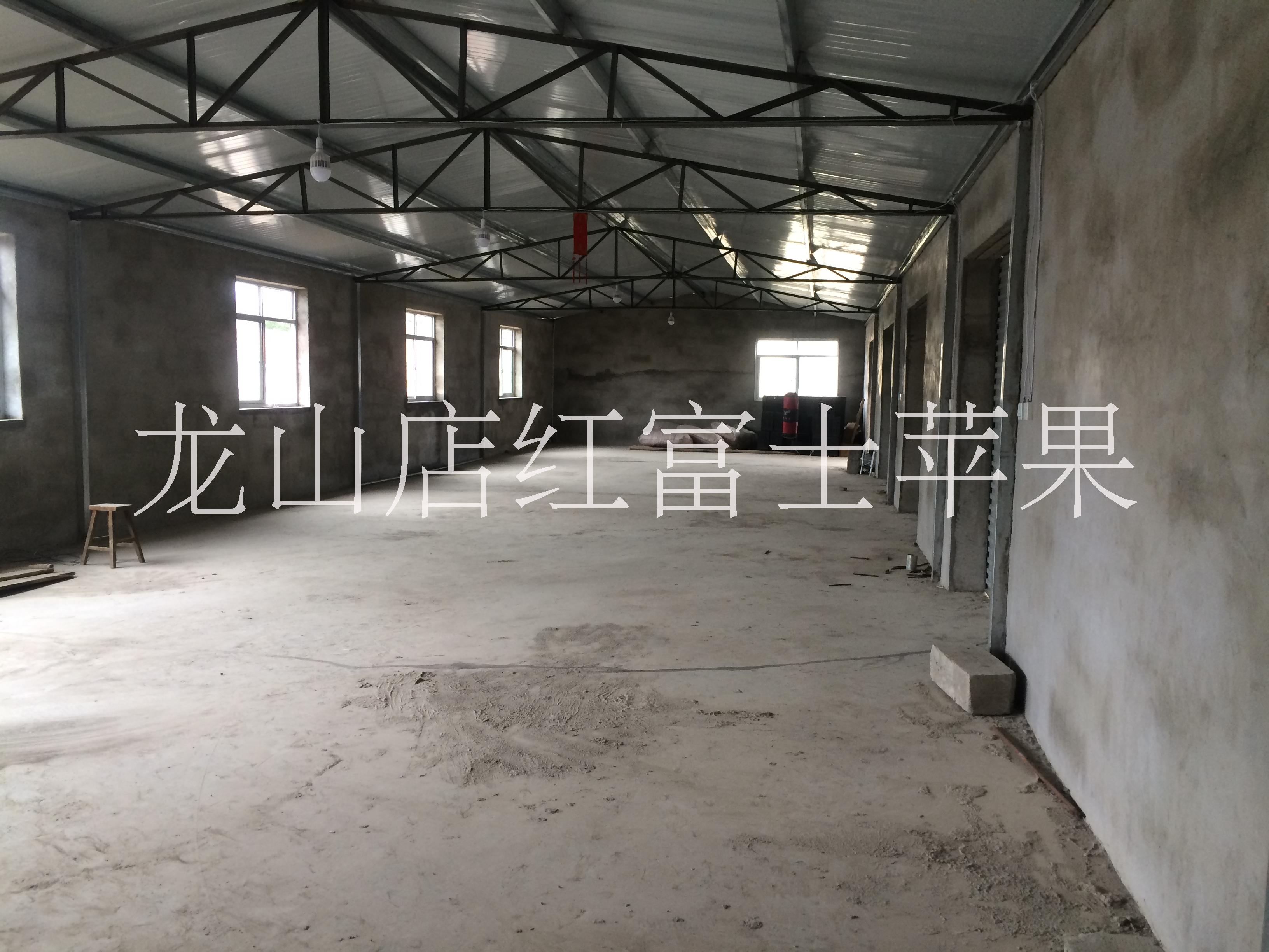 山東煙臺蓬萊市紅富士蘋果*場地