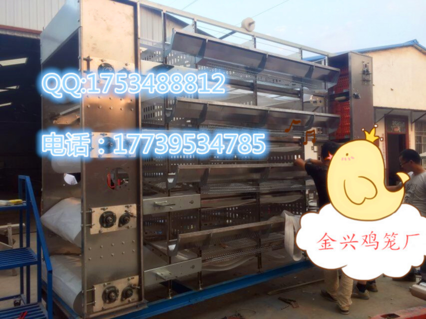 層疊式全自動化蛋雞籠