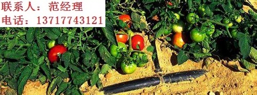 滴灌管材價(jià)格-滴灌帶價(jià)格-滴灌管-廠家直銷
