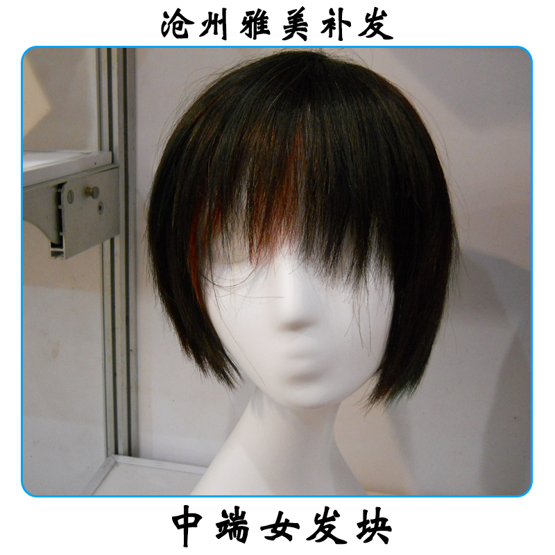 中端女發(fā)塊 透氣隱無(wú)痕補(bǔ)發(fā)發(fā)塊 真人發(fā)女士發(fā)塊 假發(fā)纖維網(wǎng)發(fā)塊