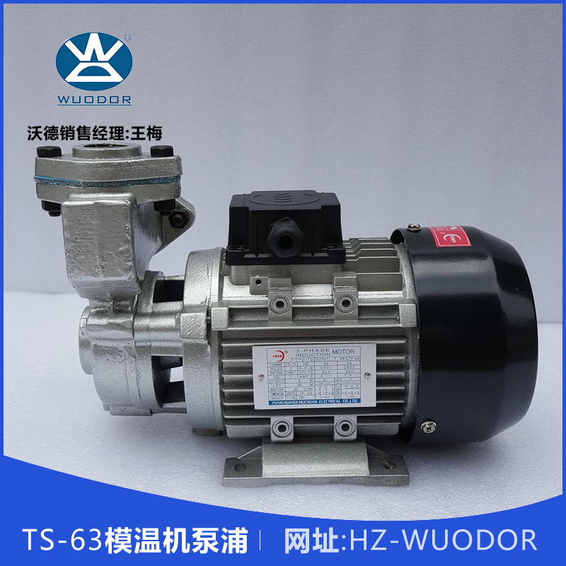 TS-63模溫機(jī)泵浦 TS-63 0.37KW高溫油泵 熱水循環(huán)泵 模溫機(jī)水泵