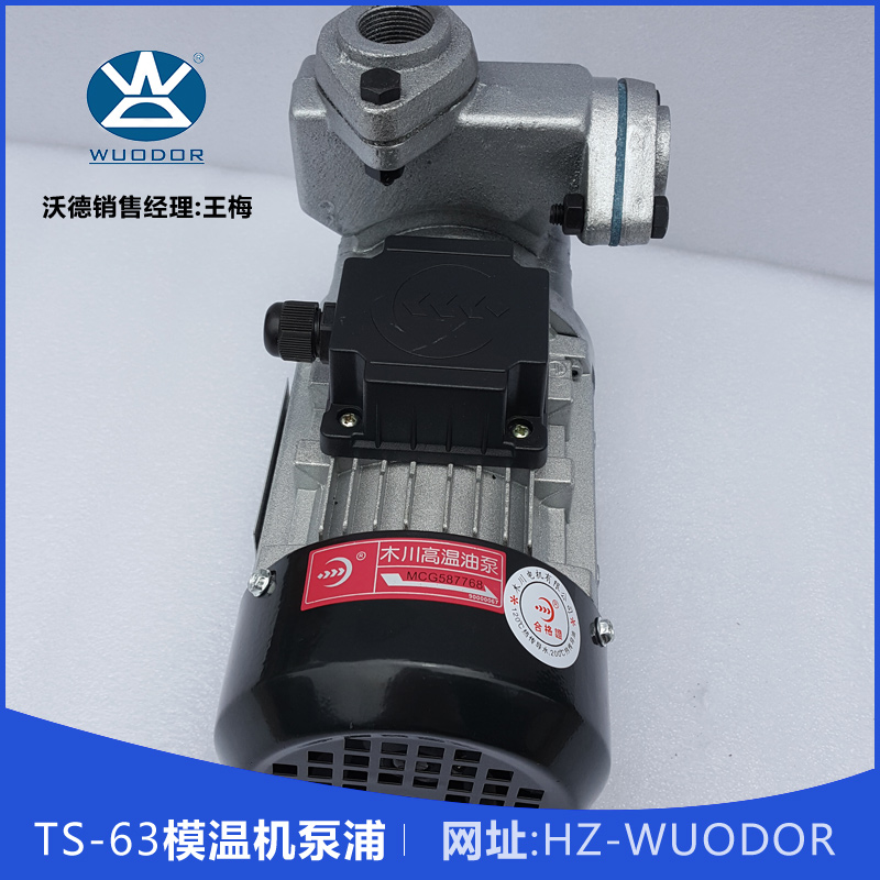 TS-63模溫機(jī)泵浦 TS-63 0.37KW高溫油泵 熱水循環(huán)泵 模溫機(jī)水泵