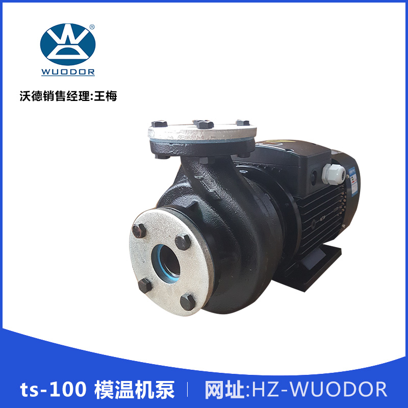ts-100 模溫機泵 高溫油泵 熱油循環(huán)泵 高溫高壓模溫機水泵