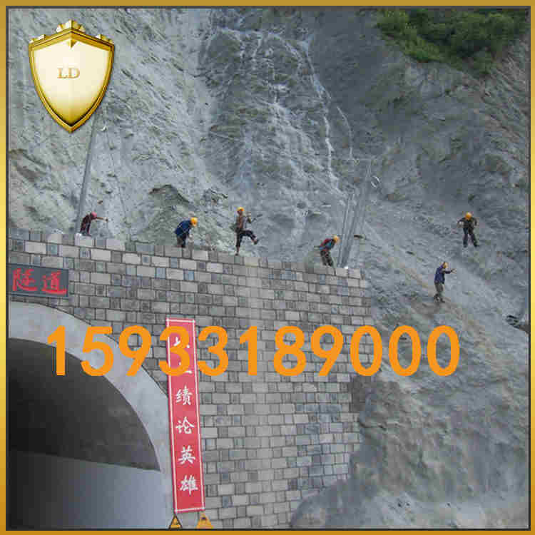 SNS被動(dòng)防護(hù)網(wǎng)規(guī)格