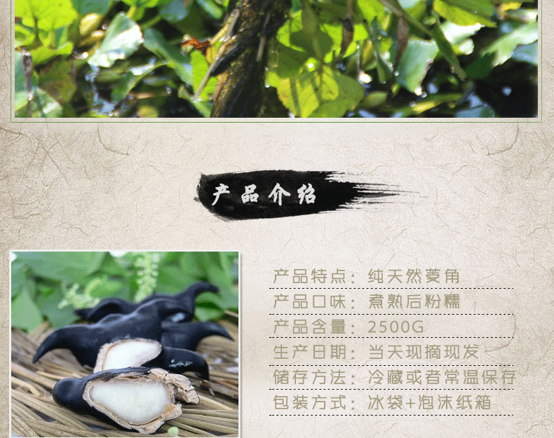 永新合作社 蔡甸* 新鮮菱角