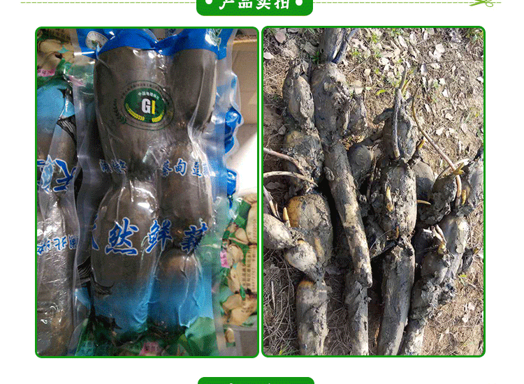 永新蓮藕 *蔡甸鮮藕