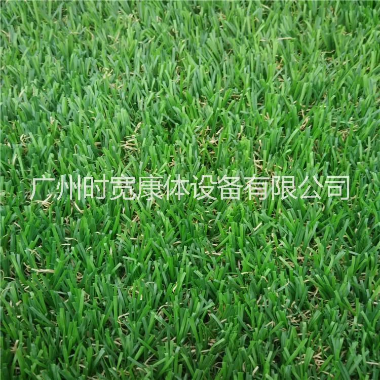 廠家直銷人造草坪人工草皮仿真草坪塑料草坪假草坪