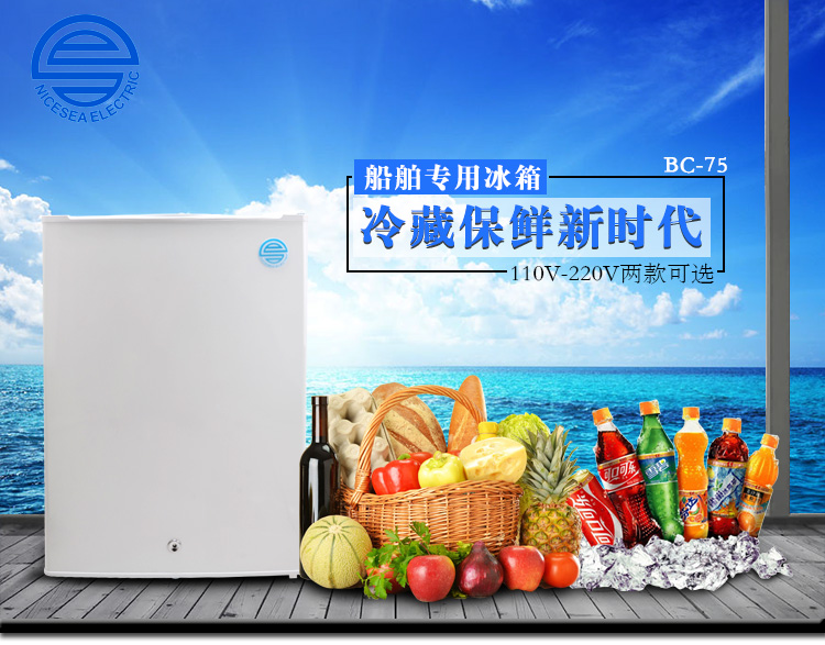 110V/220V船用外貿(mào)冰箱 110V220V船用冰箱 75L