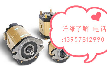 CASAPPA分流馬達
