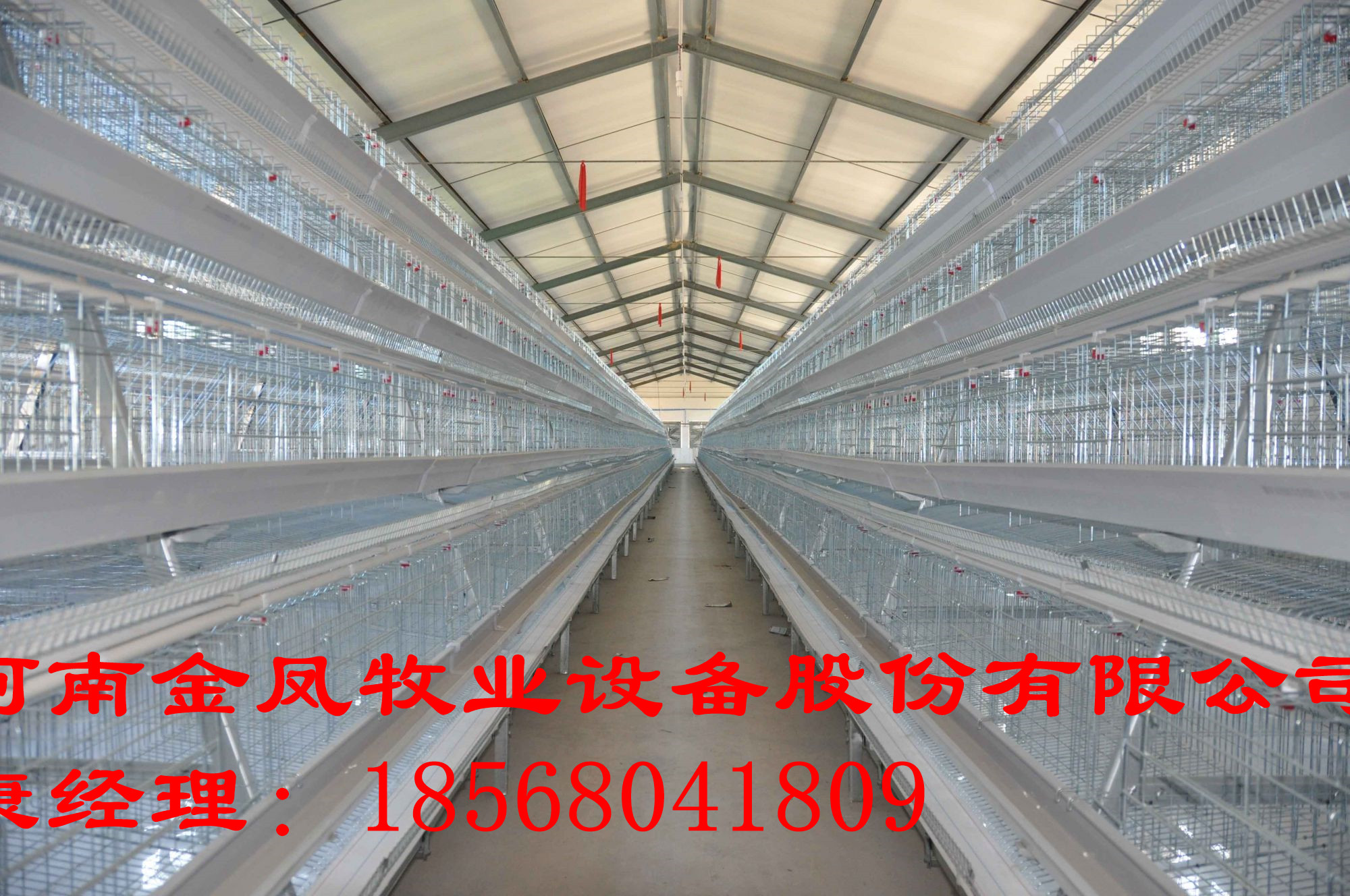 金鳳蛋雞籠批發(fā)，雞籠價(jià)格，蛋雞籠批發(fā)，金鳳蛋雞雞籠廠 金鳳蛋雞籠批發(fā)