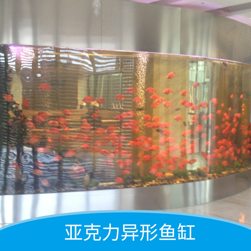 亞克力異形缸工程 異形魚缸 亞克力異形缸定做 亞克力異形魚缸