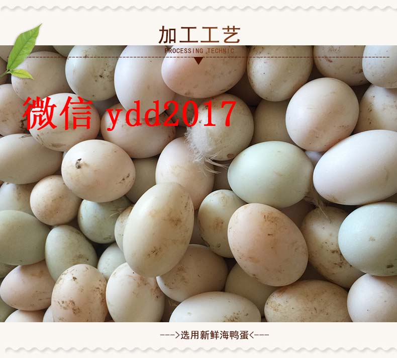廣西北部灣海鴨蛋紅樹林高油起沙熟咸蛋 75g大蛋 一件代發(fā) 北海海鴨蛋
