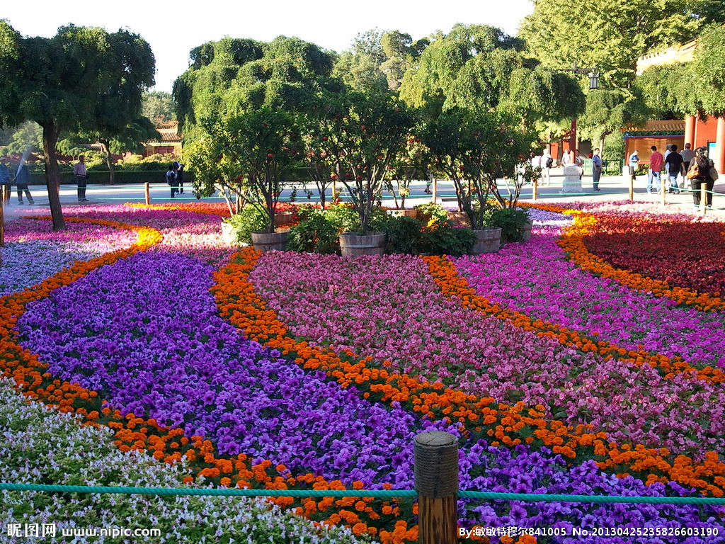 賀州多年生格?；ǚN子的種子價(jià)格