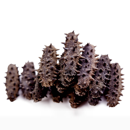 煙臺尚古海 純無鹽*海參禮盒 500g 70-80頭 營養(yǎng)價值豐富 漲發(fā)率高 尚古海純無鹽海參70-80頭