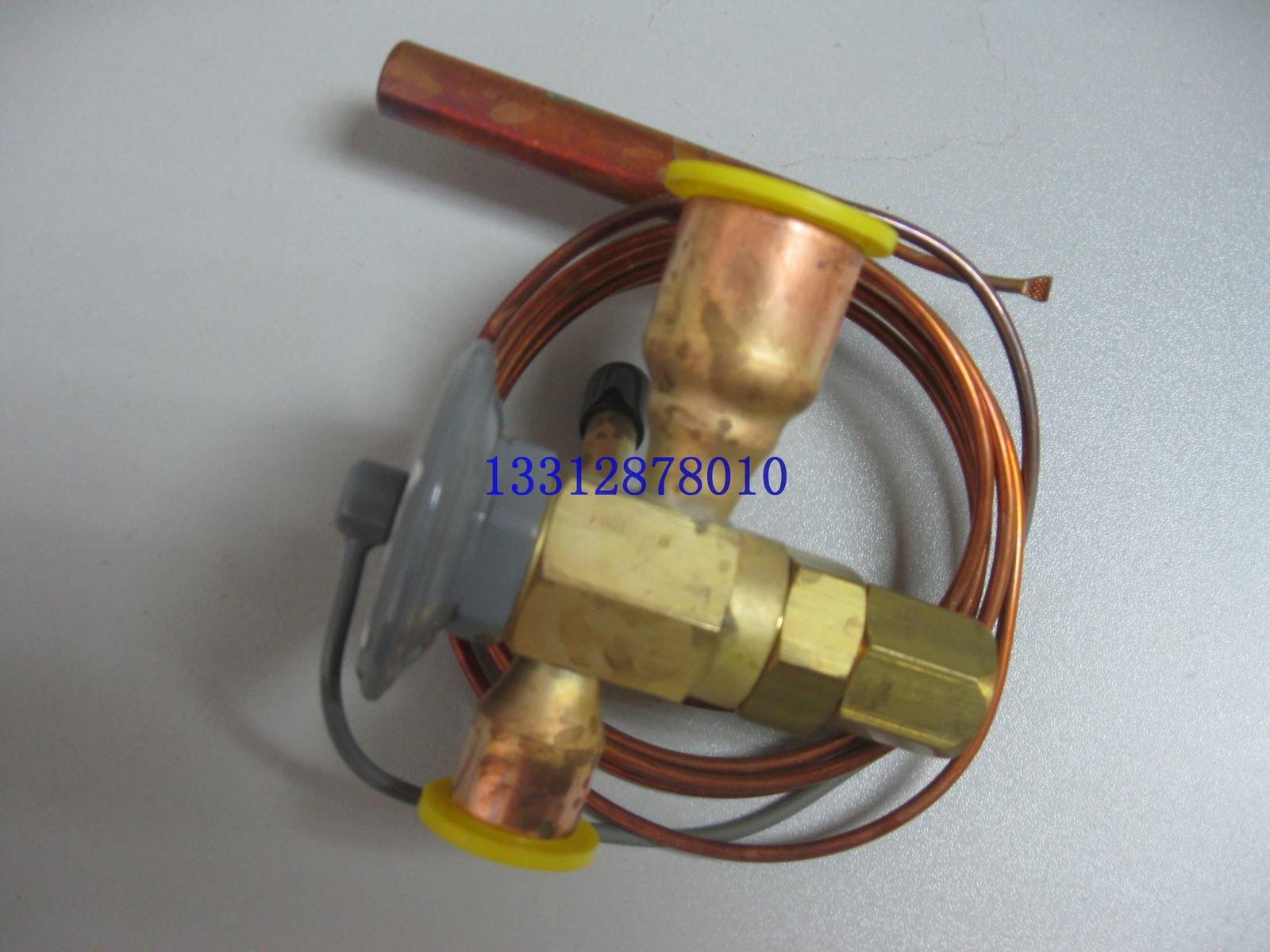 美國斯波蘭膨脹閥選型 FBVE-3/5/8-CP100型熱力膨脹閥