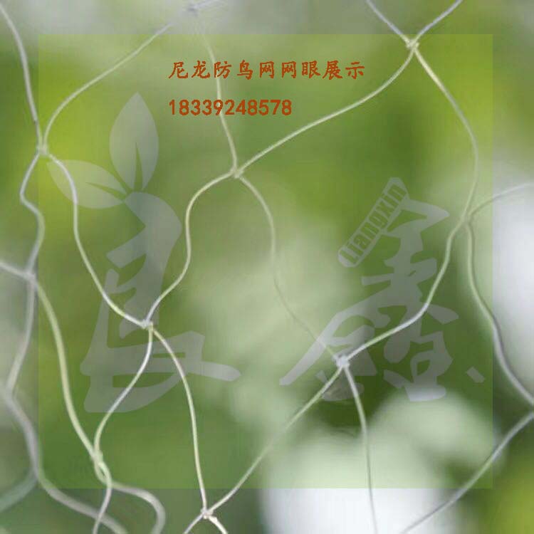 蔬菜防蟲網(wǎng) | 百香果網(wǎng) | 黃瓜爬藤網(wǎng) | 葡萄防鳥網(wǎng)廠家安裝