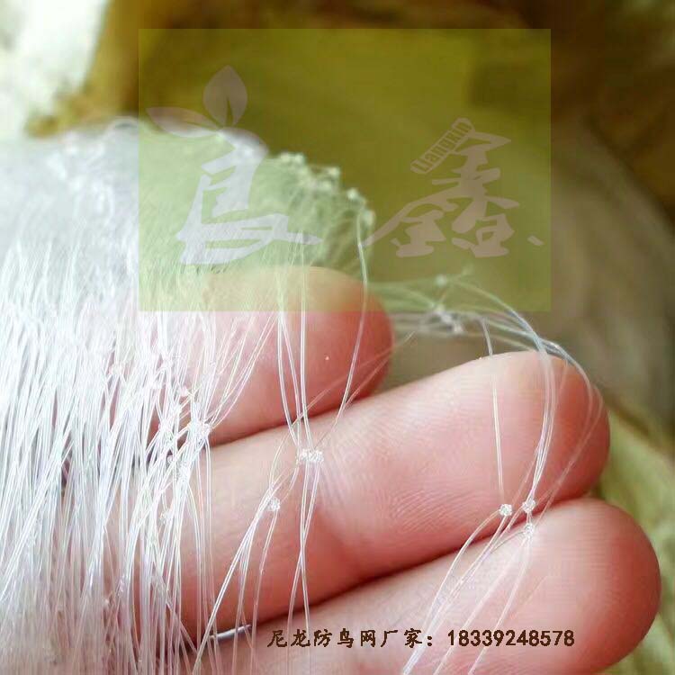 蔬菜防蟲網(wǎng) | 百香果網(wǎng) | 黃瓜爬藤網(wǎng) | 葡萄防鳥網(wǎng)廠家安裝
