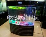 珠海大量魚缸批發(fā)零售 珠海市批量銷售玻璃魚缸