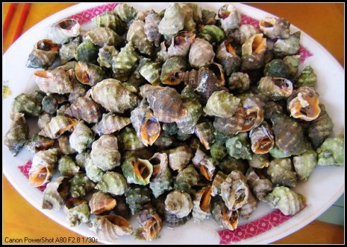 哪里有口味唆螺學(xué)，哪里可以學(xué)做口味唆螺技術(shù)