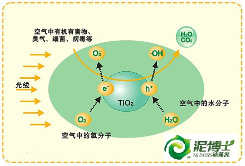 從蘭舍1號(hào)硅藻泥*實(shí)驗(yàn)說(shuō)起