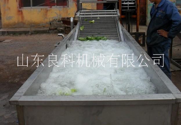 芹菜清洗機(jī)