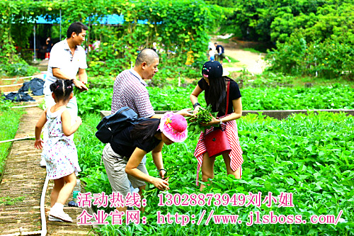 清明節(jié)踏青深圳農(nóng)家樂一日游好去處