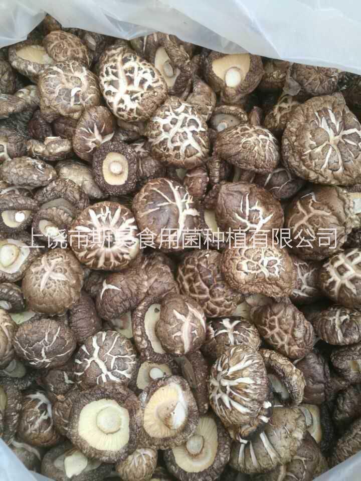 上饒 斯昊菌業(yè){香菇}