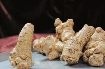 文山新葉三七  30頭文山三七 三七功效  文山三七網(wǎng)  文山三七價格