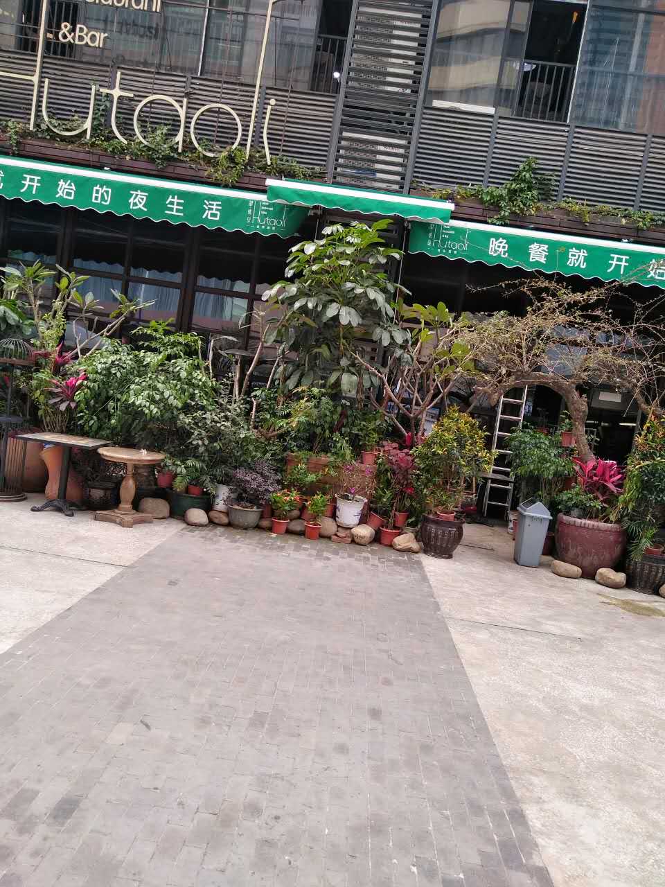 廣州曲擘棚供應(yīng)商 廣州曲擘棚價(jià)格 廣州曲擘棚批發(fā) 曲擘棚