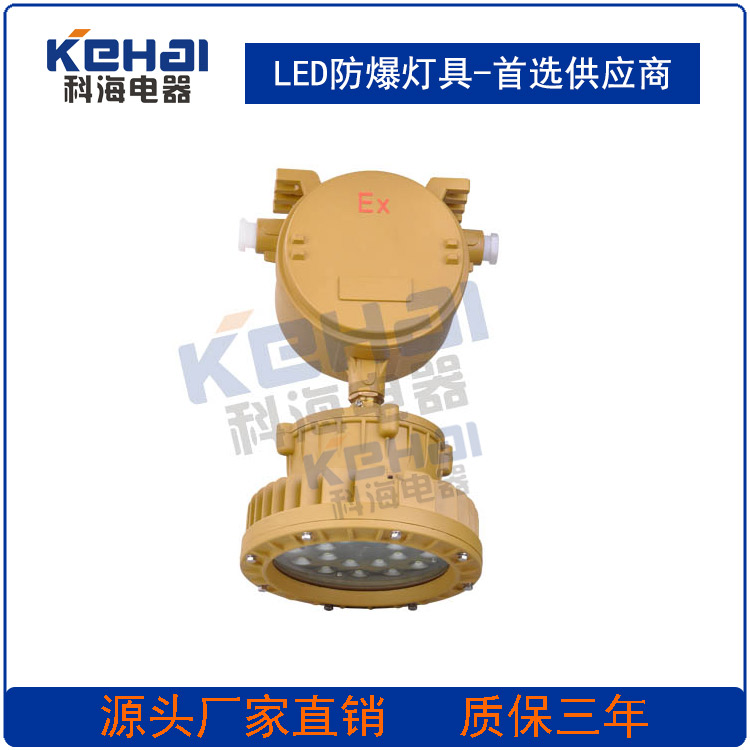 供應(yīng)BED150-J20W - 40W大功率LED防爆應(yīng)急照明燈