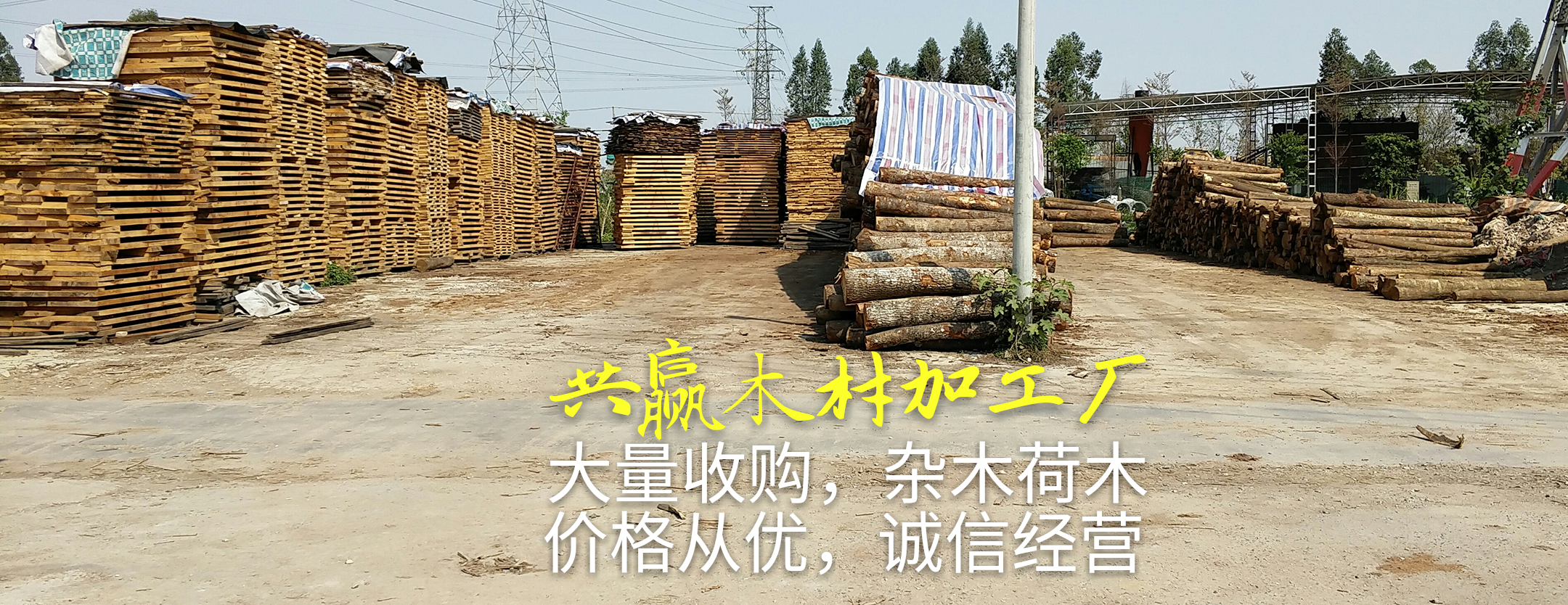 荷木板