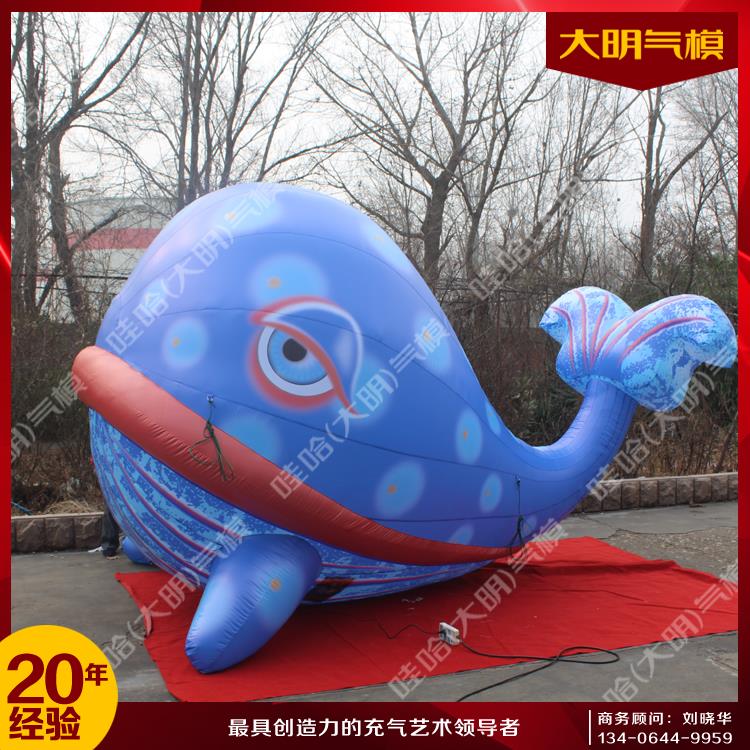 大明氣模 可愛(ài)海豚氣模