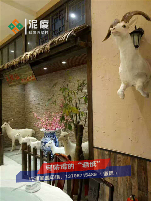 浙江臺(tái)州硅藻泥 硅藻泥電視背景墻